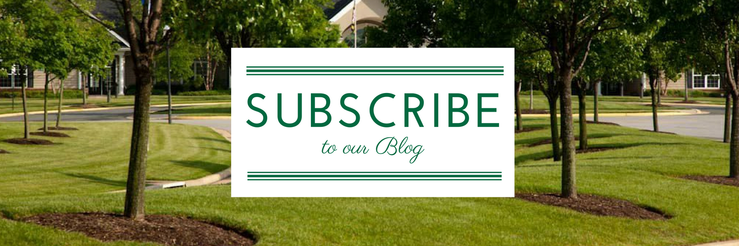 Subscribe to Our Green Peace of Mind Blog