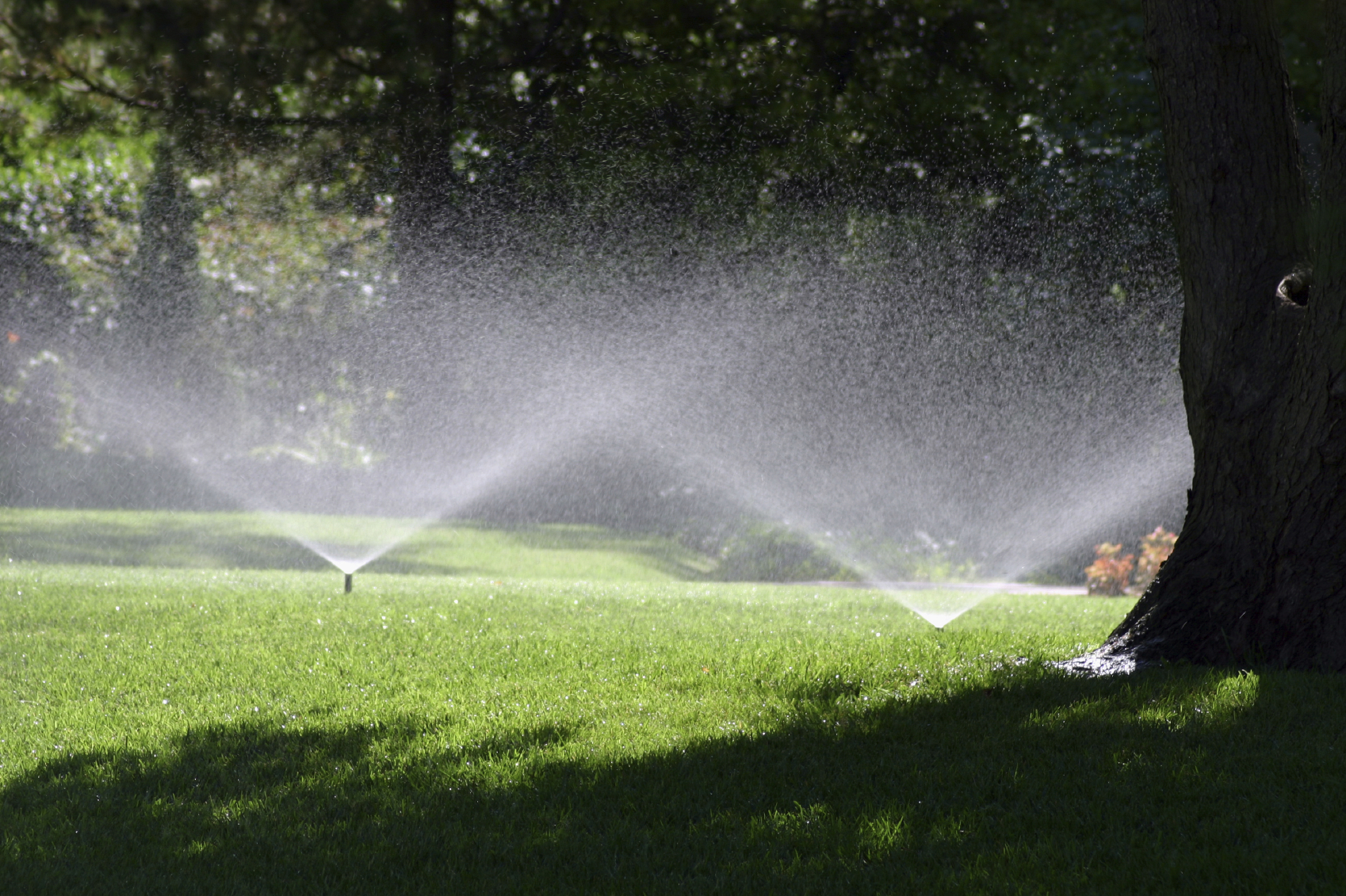 Contact Us Commercial Irrigation Services