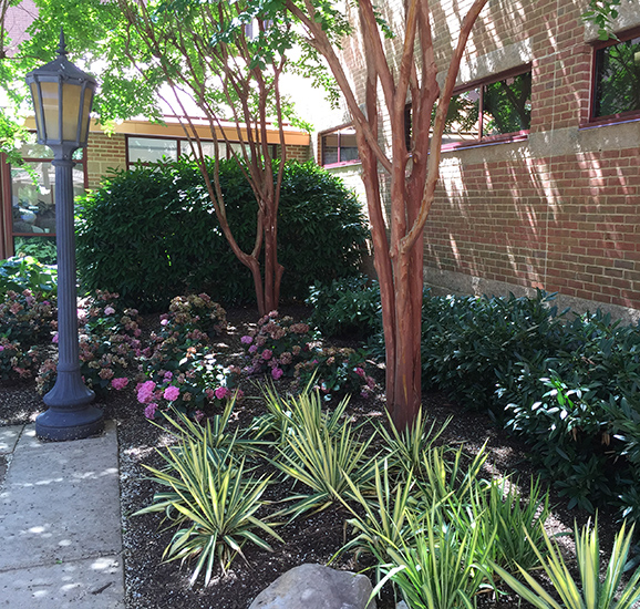 Commercial Landscaping Maintenance - Complete Landscaping Service