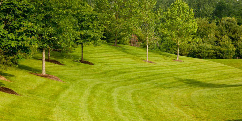 Commercial Landscape Maintenance - Complete Landscaping Service, MD DC VA