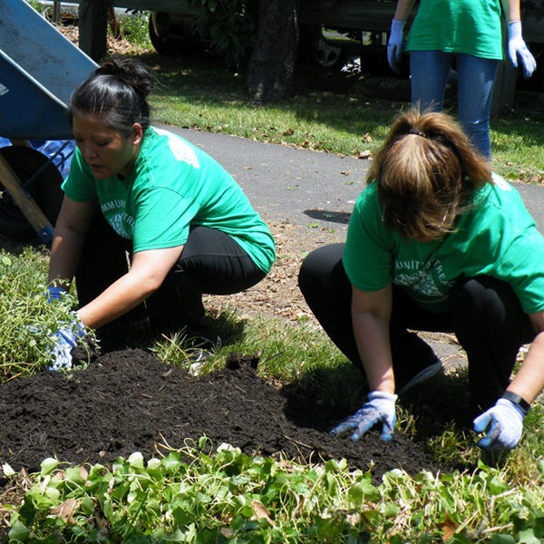 In the Community - Complete Landscaping Service