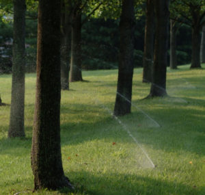 Commercial Irrigation Services in MD, DC, VA | Complete Landscaping Service, Commercial Landscape Contractors