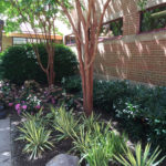 Anne Arundel Medical Center - Commercial Landscape Maintenance Portfolio - Complete Landscaping Service in MD, DC, VA