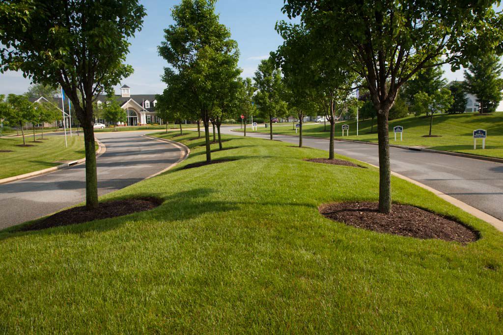 Commercial lawn clearance maintenance