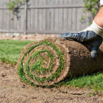 Hydroseeding versus Sod: What You Need to Know. Complete Landscaping Service
