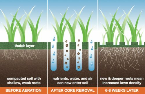 Aeration and Overseeding as part of an overall Turf Care Program for your commercial property