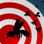 Protect Your Property from Mosquitoes and Zika | Complete Landscaping