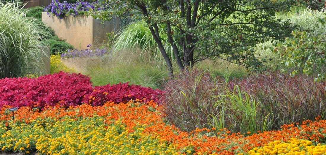 Seasonal Flower Plantings for your commercial property