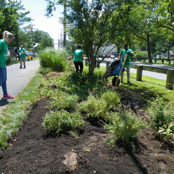 In the Community - Complete Landscaping Service