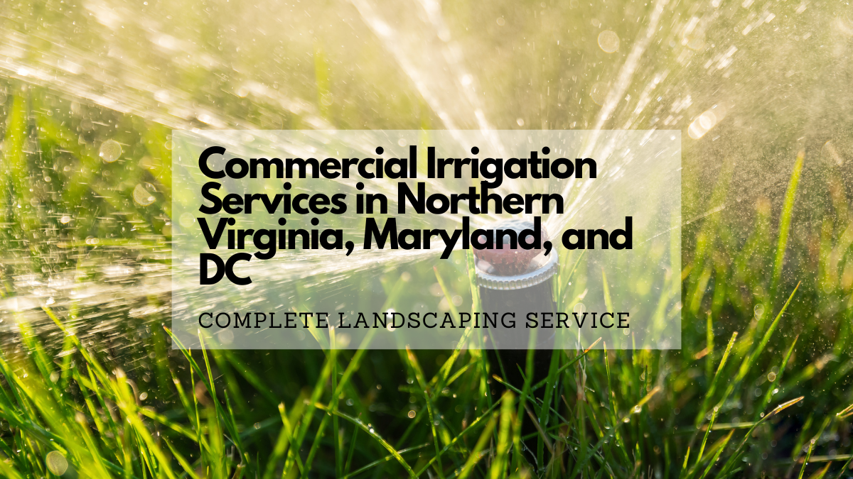 Commercial Irrigation Services in Northern Virginia, Maryland, and Washington DC