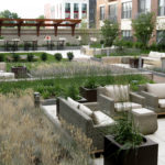 Perennials - Practically Perfect Plants to Liven Up Your Landscape