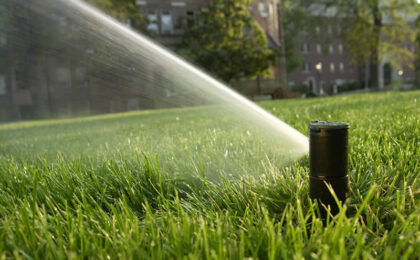 sprinklers irrigating a grass