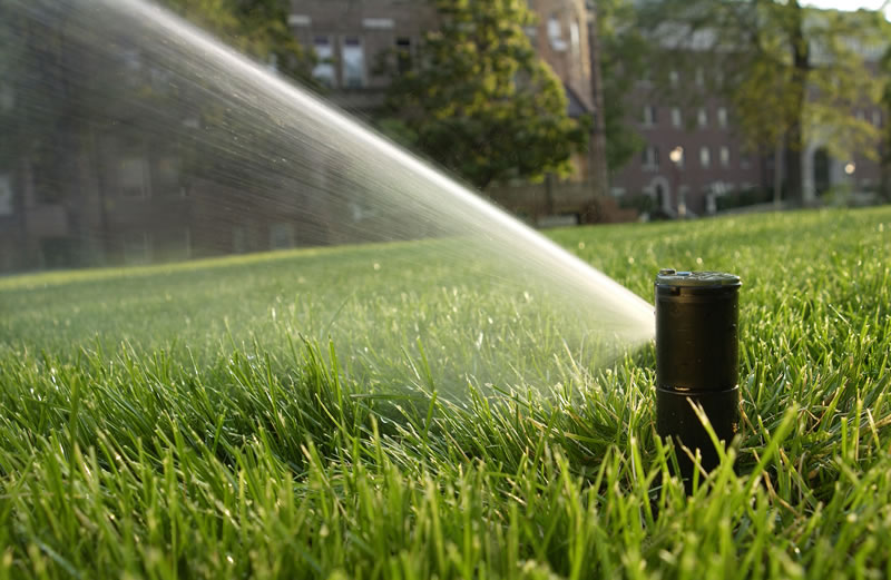 Why Irrigation is Important for Your Commercial Property - Complete Landscaping Service