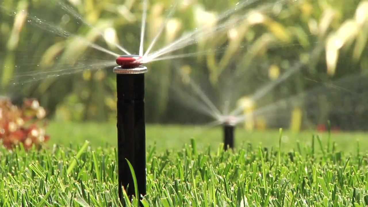 Why Irrigation is Important for Your Commercial Property