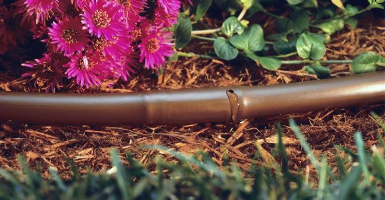 Why Irrigation Is Important For Your Commercial Property