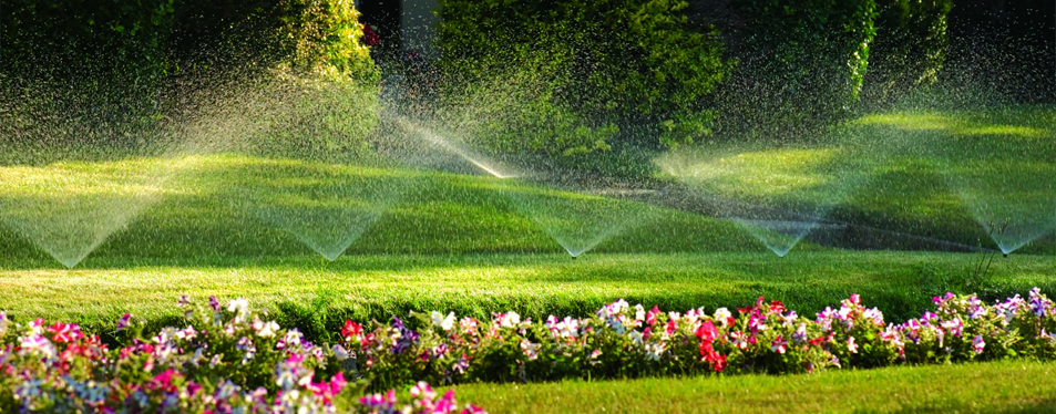 landscaping and irrigation