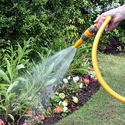 Fertilizing Annual Plantings