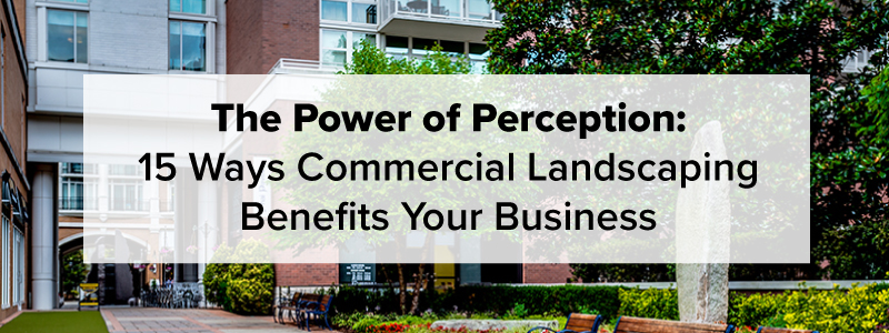 How Commercial Landscaping Benefits Your Business | Complete