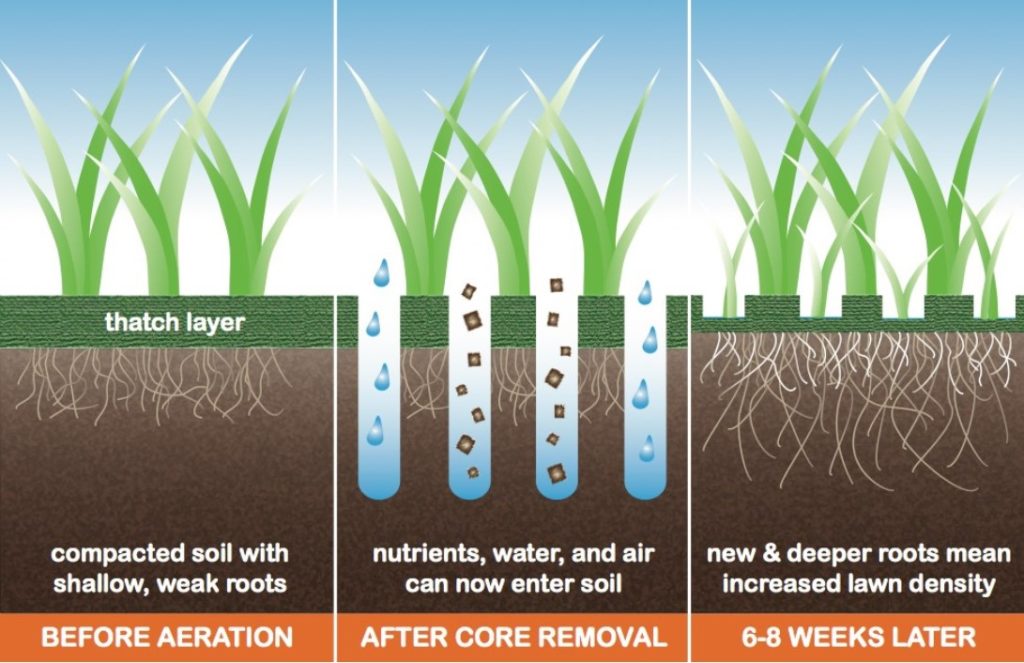 core aration with complete landscaping