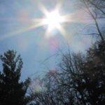 What to Do With Your Landscape When Winter Doesn't Come - Complete Landscaping Service