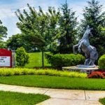 Landscaping Goals - Complete Landscaping Service