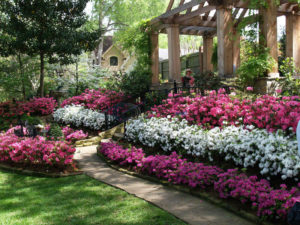 Best Spring Flowering Shrubs for Commercial Properties | Complete Landscaping Service - MD, DC, VA