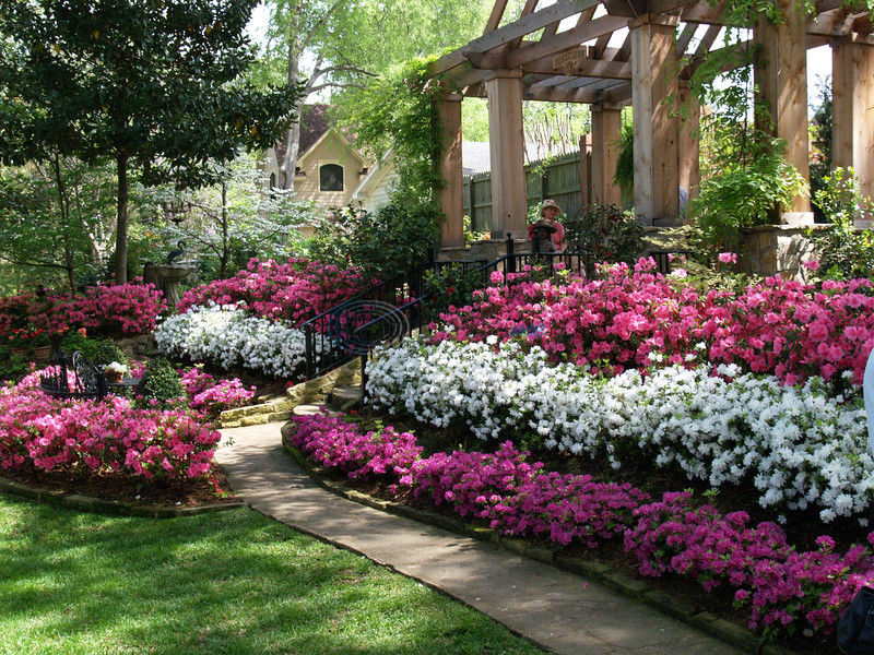 colorful shrubs for landscaping