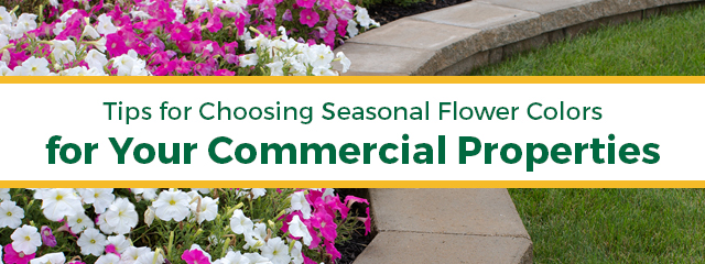 Tips for Choosing Seasonal Flower Colors for Your Commercial Properties