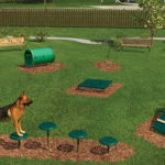 dog park