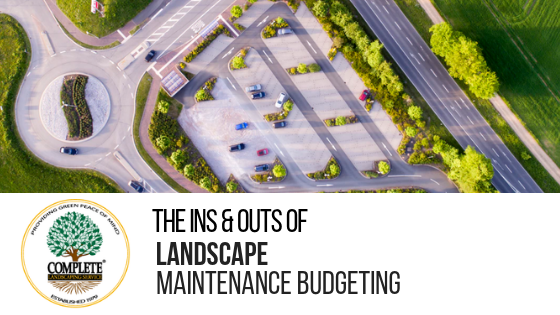 The Ins & Outs of Landscape Maintenance Budgeting