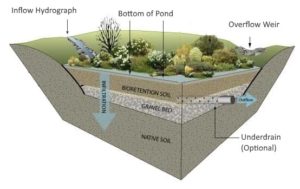 Bioretention Basin