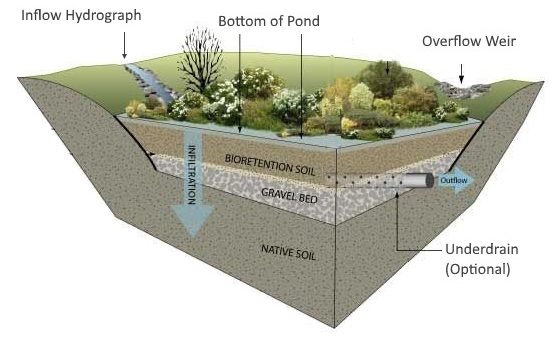 Bioretention Management: What It Is & Why It Matters