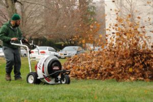 Commercial Leaf Removal