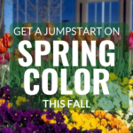 spring color