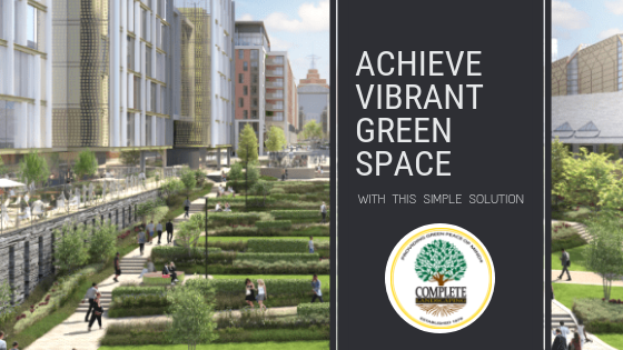 Achieve Vibrant Green Space with this Simple Solution