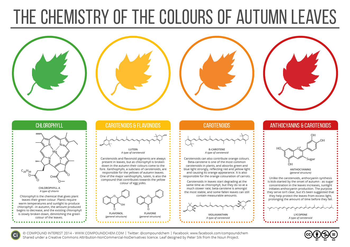 Chemistry of Autumn Leaves