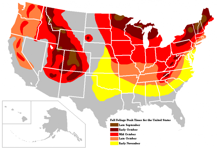 Fall Foliage Map