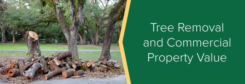 Tree Removal and Commercial Property Value