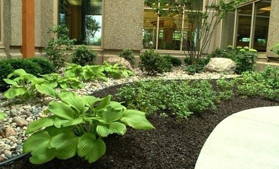 Mulch Madness – To Dye or Not to Dye?