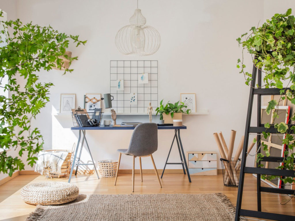 Houseplants Create Productive Offices.