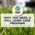 Why A Fall Lawn Care Program Could Make Or Break Your Commercial Property