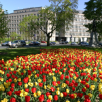 tulips in front of an office