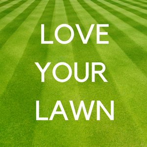 love your lawn