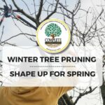 winter tree pruning