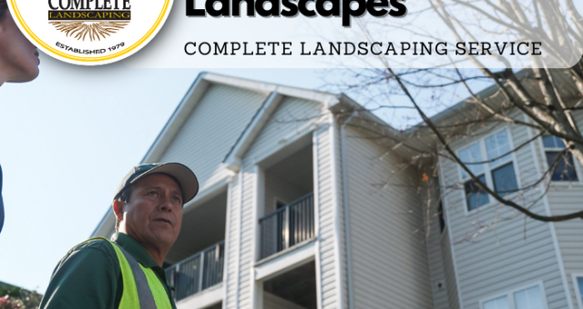 Winter Tree Pruning for Commercial Landscapes