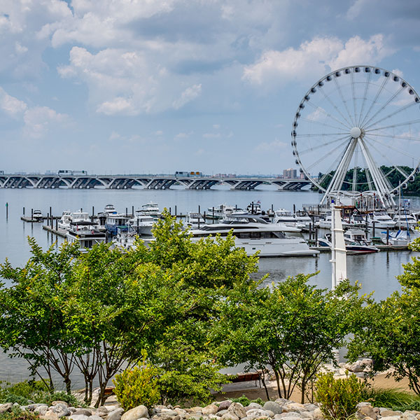 national harbor landscape