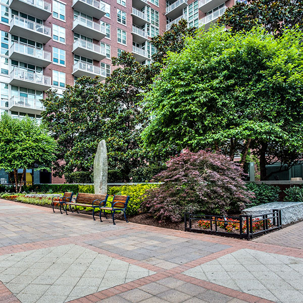 national harbor landscape