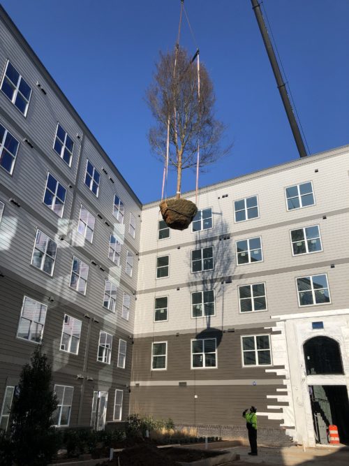 Landscape Construction Northern Virginia