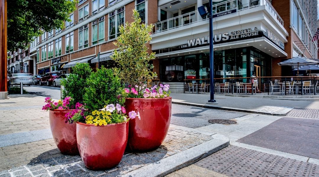 Commercial Landscaping Services for Retail Buildings