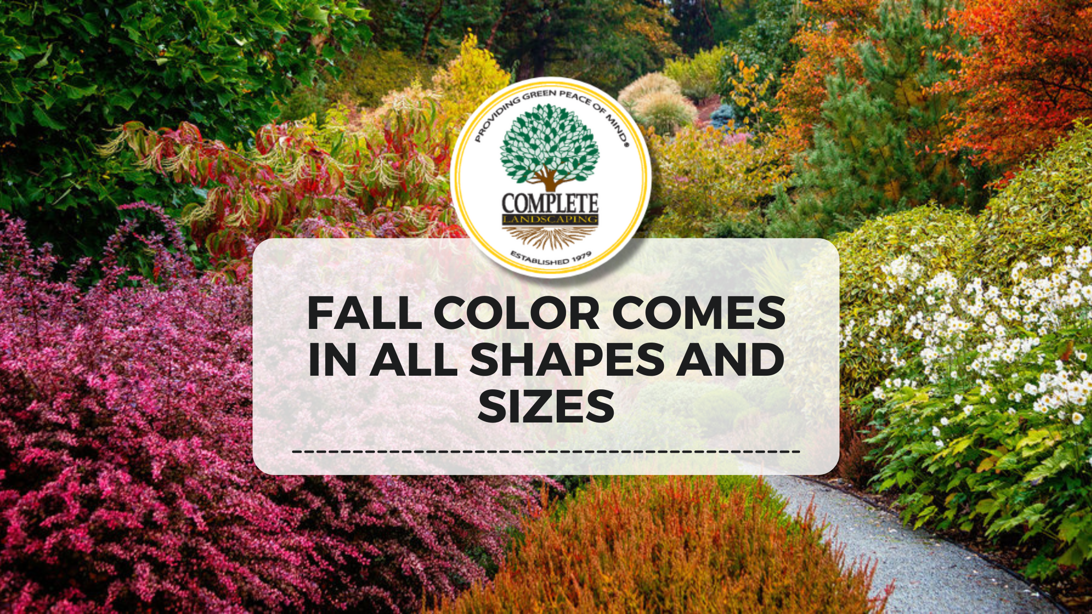 Fall Color Comes in All Shapes and Sizes